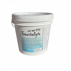 Électrolytes Truvitalyte - Chaudière 5 kg