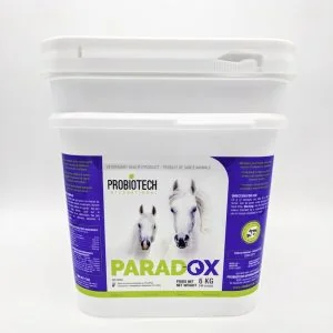 Paradox 6 kg