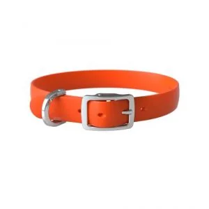 Bond Pet Collier Pour Chien - Moyen