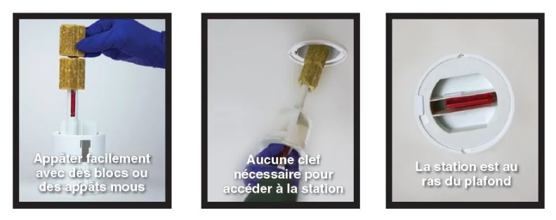 Station d'appât Attic Attack – Image 3