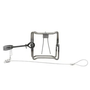 Piège Rat Musqué (Rudy110)