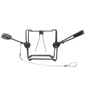 Piège Raton Laveur (Rudy220)