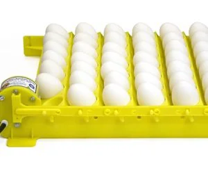 Tourneur d'oeufs pour incubateur 50100