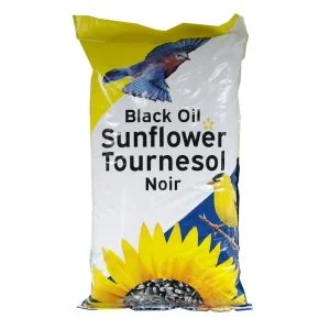 Tournesol Noir