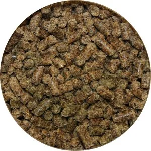 1000 - Perfo - Moulée - Cubée