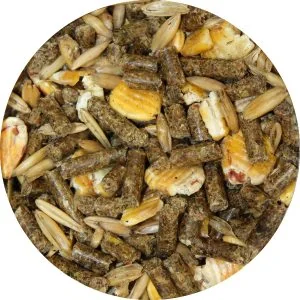 1310 - ÉcoMix - Moulée - Texturée Non Mélassée