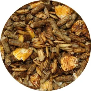 1360 - ÉvoluMix - Moulée - Texturée Mélassée