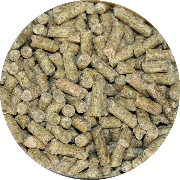 Blocs Minéraux Pour Reptiles Et Tortues - 6 Cubes De 12x12x12 Mm - Supplément Croissance Et Bien-être