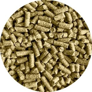 23850 - Moulée Cochon d’Inde 16%