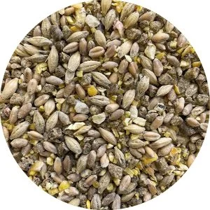 5115 - Moulée Ponte 16%