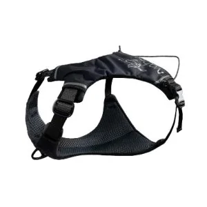 Harnais de marche pour petits chiens