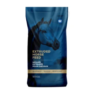 Moulée extrudée Blue Seal